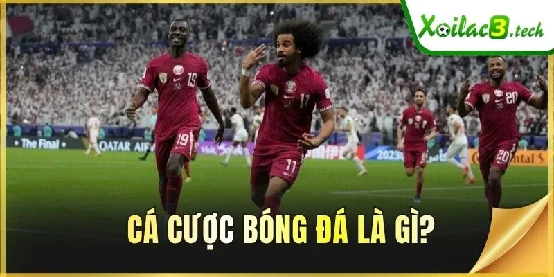 Cá cược bóng đá là gì?