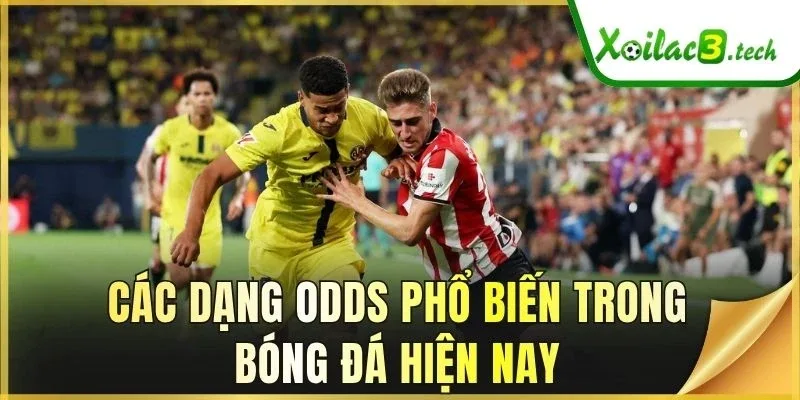 Các dạng odds phổ biến trong bóng đá hiện nay
