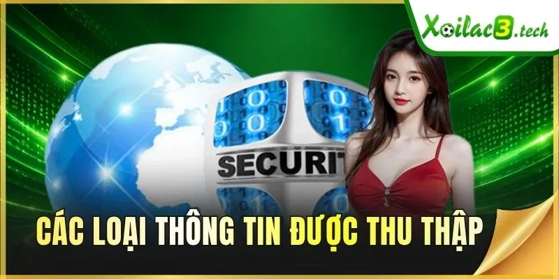 Các loại thông tin được thu thập
