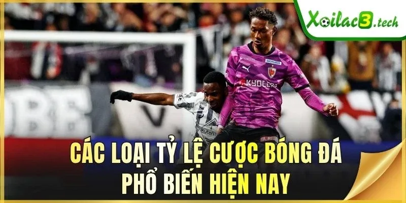Các loại tỷ lệ cược bóng đá phổ biến hiện nay