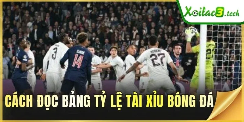 Cách đọc bảng tỷ lệ Tài Xỉu bóng đá