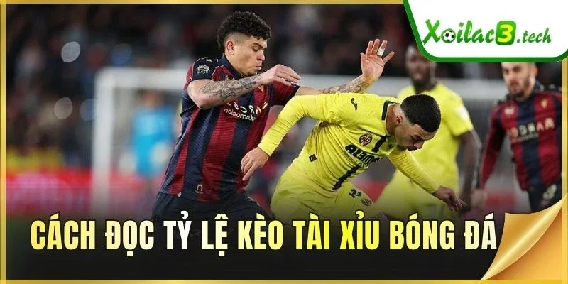 Cách đọc tỷ lệ kèo Tài Xỉu bóng đá