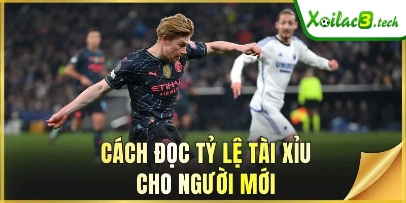 Cách đọc tỷ lệ Tài Xỉu cho người mới