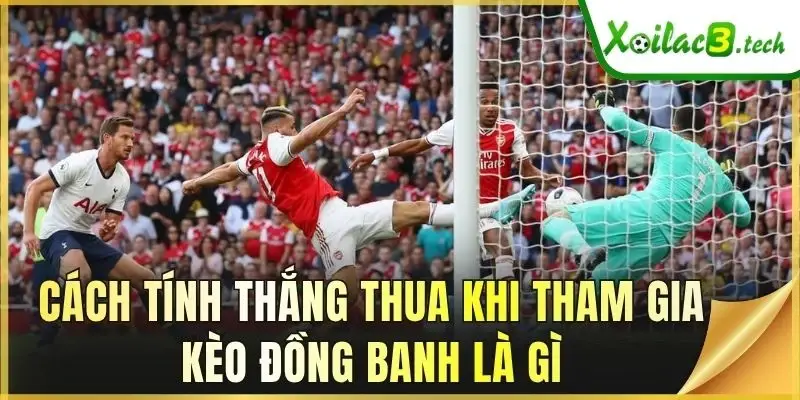Cách tính thắng thua khi tham gia kèo đồng banh là gì