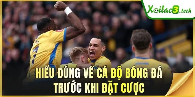 Hiểu đúng về cá độ bóng đá trước khi đặt cược