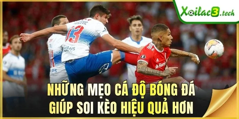 Những mẹo cá độ bóng đá giúp soi kèo hiệu quả hơn