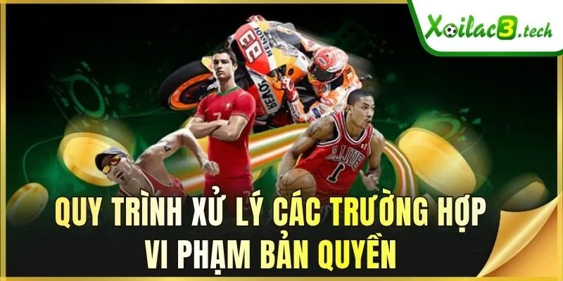 Quy trình xử lý các trường hợp vi phạm bản quyền