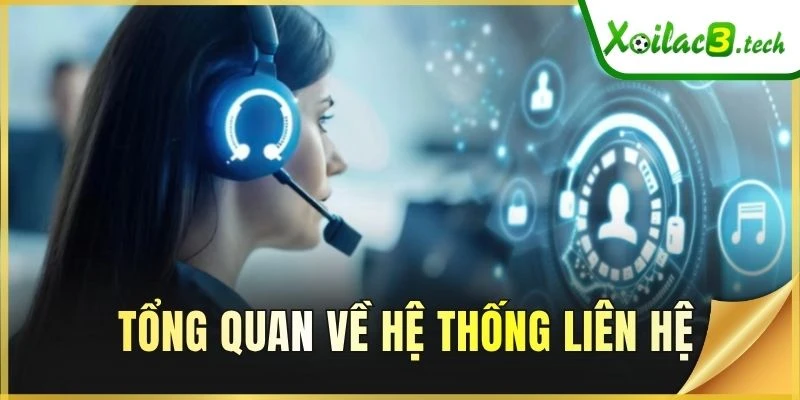 Tổng quan về hệ thống liên hệ