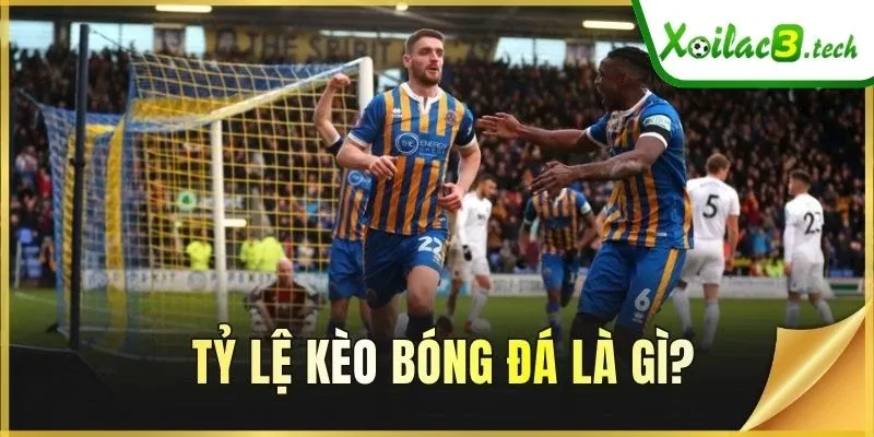 Tỷ lệ kèo bóng đá là gì?
